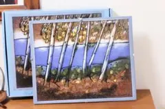 Item thumbnail for item 3d3cdce5-922b-403a-809f-55b3a988c1d5