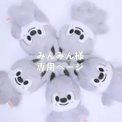 ♡みんみん様専用ページ♡