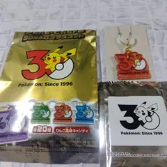 ☆Pokémon☆ ポケチャーム・ポケモン30周年・ヒトカゲ