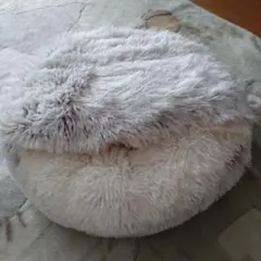 Item thumbnail for item 793becb8-d95e-479b-b20e-4bb8e76c4edf