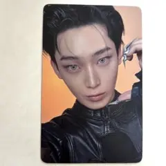 ENHYPEN THE SIN:VANISH ユニバ UMS 特典 トレカ ソヌ