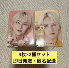 &honey ジョンハン セブチ アンドハニー SEVENTEEN トレカ