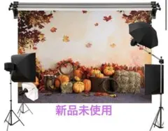 Item thumbnail for item 5c1223eb-8407-4a3c-bf86-7021152d70c6