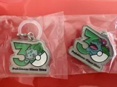 ポケモン 30周年 メタルチャーム　匿名配送