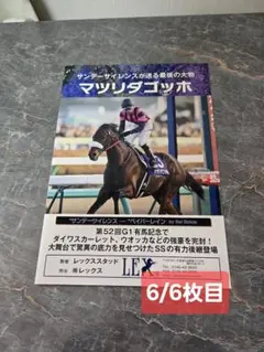 2026年最新】マツリダゴッホの人気アイテム - メルカリ