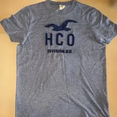 Hollister Tシャツ グレー Lサイズのサムネイル