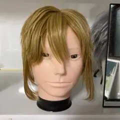 ゼルダ伝説　リンク　造形ウィッグ