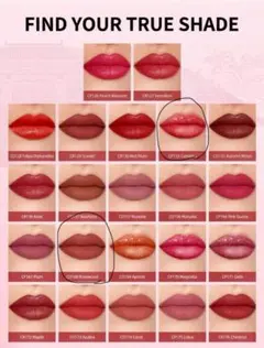 未使用　イエベ向き2本セット　CATKIN カトキン　CO168 CP133