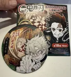 鬼滅の刃 不死川実弥 缶バッジ 缶バッジコレクション　中国　上海　気魂一閃