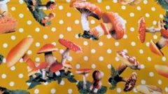 KOHAKU様 リクエスト 2点 まとめ商品