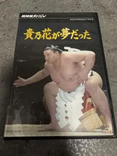 Item thumbnail for item 5f6a5cbf-0297-42d7-b6d9-2d67a3196f36