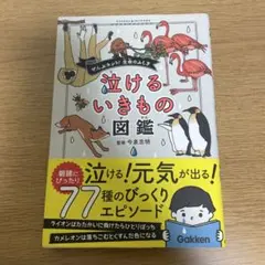 泣けるいきもの図鑑