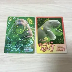【レア】鳥羽水族館 とばすいコレカ2 ジュゴン セレナ 鳥羽水族館 コレカ2 ジュゴン セレナ レアカード - メルカリ