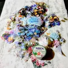 bibi様 リクエスト 3点 まとめ商品