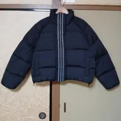 Item thumbnail for item 1265afac-3905-4b10-8460-cf501e812d5a