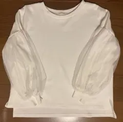 Item thumbnail for item 8a50a5e2-30b3-4699-8457-20943addbef2