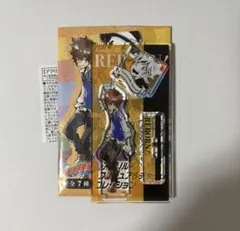 家庭教師ヒットマンREBORN! アクリルフィギュア&チャーム 沢田綱吉