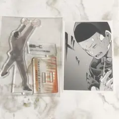 ハイキュー10thクロニクル アクスタ＋フォトカ 成田一仁