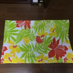 Item thumbnail for item bf126505-52b9-48e8-b769-93412c0864ae