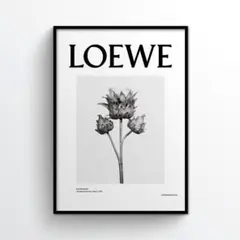 B2】アートポスター ポスター インテリア LOEWE ロエベ モノトーン