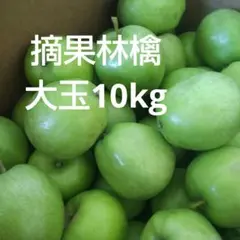 福島県産 摘果林檎 大粒 サンふじりんご他 10キロ送料込みのサムネイル