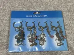 東京ディズニーリゾート アクリルキーホルダー 5個セット
