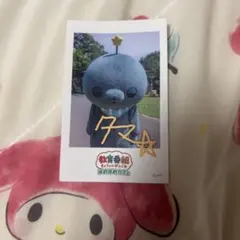 教育番組 ほめほめカフェ