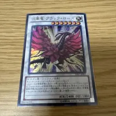 桜もち　プロフ確認お願いします様 リクエスト 2点 まとめ商品