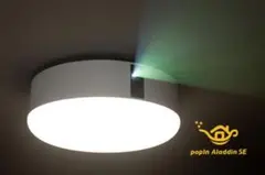 Item thumbnail for item 094b99aa-a5d1-42ae-af87-0f10aee85529