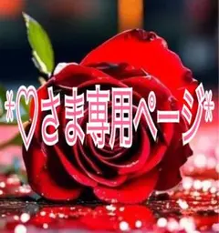 *♡さま専用ページ*