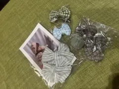 Item thumbnail for item 6cfc1384-1346-49bf-8d6f-b562f79d5e40