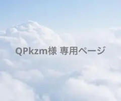 【QPkzm様 専用ページ】ポチャッコ１個、バッドばつ丸１個 缶バッジ