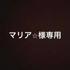 マリア⭐︎様専用