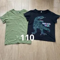 恐竜デザイン Tシャツ 2枚セット 110