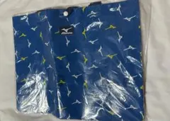 新品 Mizuno ミズノ レジャーバッグ
