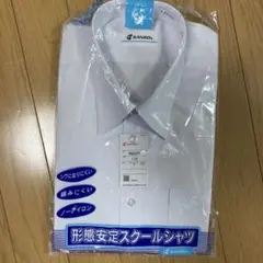 Item thumbnail for item 71be1be5-2e81-48b1-867f-ad712dc1f736