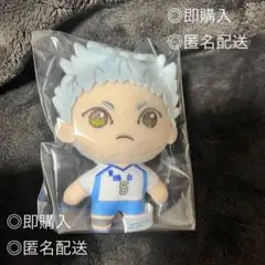 ハイキュー!! SEGAラッキーくじ B賞 星海光来 鴎台 ぬいぐるみ
