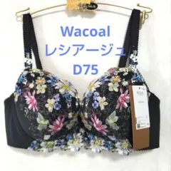 桜様専用D75ワコール♥ウイング　レシアージュ　素敵なブラジャー単品