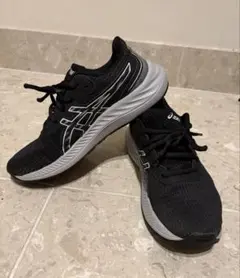 2026年最新】アシックスウエイトリフティングシューズの人気アイテム