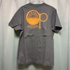 Item thumbnail for item 4c355324-c81f-4eb4-b23c-8e6d0df1d37a