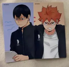 ハイキュー 喜怒哀楽フェア アニメイト特典 大判カード 日向翔陽 影山飛雄