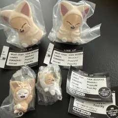 SKZOO フォクシニー ライトマスコット つまんでつなげてますこっと