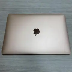 カバー付きMacBook Air M1 512GB 13inch ローズゴールド