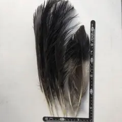 Item thumbnail for item 9b4d5b09-0ea3-436d-879f-d1a67389d1cd