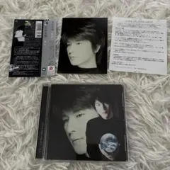 及川光博 特典A5クリアファイル 14枚セット 及川光博 ミッチー BEAT&ROSES 予約特典 A5クリアファイル - メルカリ