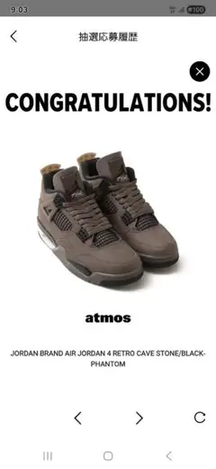 Air Jordan 4 Retro Cave Stone