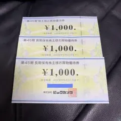 ビックカメラ　株主優待　3000円分