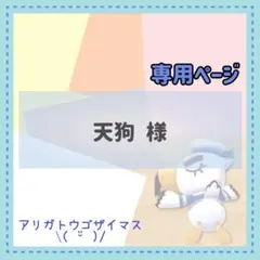 天狗様 リクエスト 4点 まとめ商品