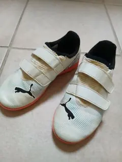 Item thumbnail for item 4e9bc68c-fa71-453d-bae7-bd38640477d7