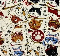 Item thumbnail for item 02bfec0e-684c-464c-bd2f-744f13a5cd82